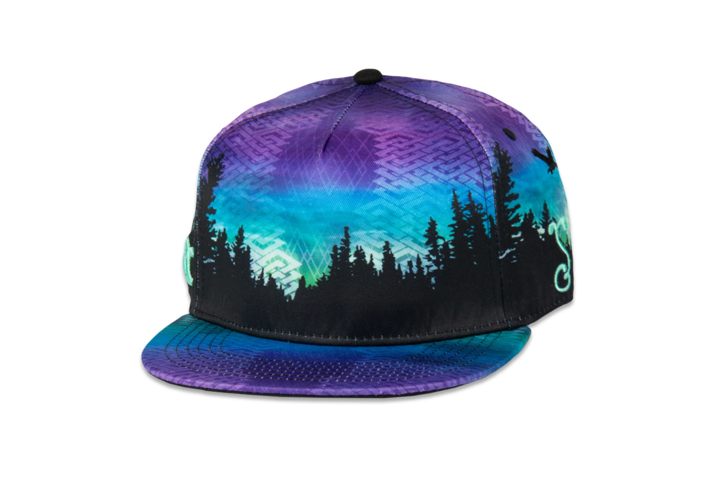 Grassroots Camproots V1 Snapback Hat - Image 4